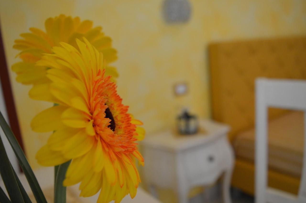 Tally B&B Салве Екстериор снимка